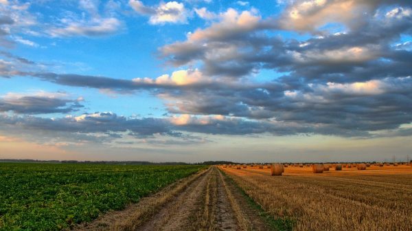 ammesse al fondo di garanzia imprese agricole e della pesca