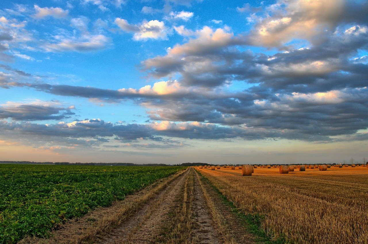 ammesse al fondo di garanzia imprese agricole e della pesca