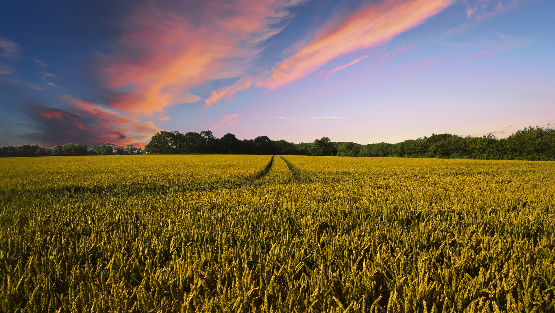 mprese agricole ammesse al Fondo di Garanzia