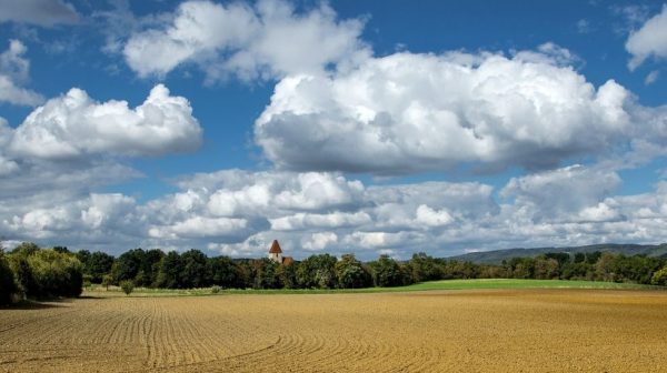 Fondo di Garanzia imprese agricole