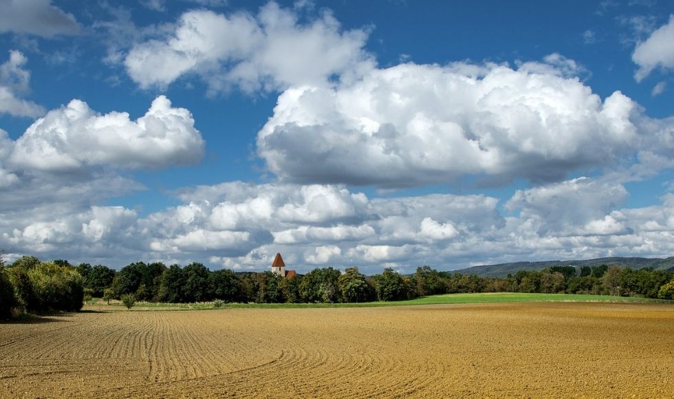 Fondo di Garanzia imprese agricole